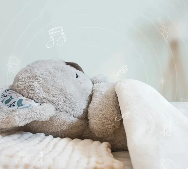 Dr. Coala • Amigo do sono